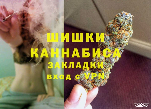 сатива Иннополис