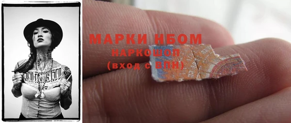 крисы Инта