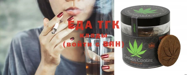 спиды Инсар
