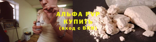 спиды Инсар