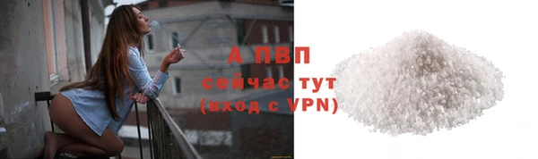 крисы Инта