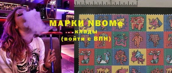 шишки Каменка