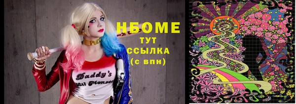 крисы Инта