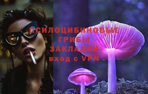 сатива Иннополис