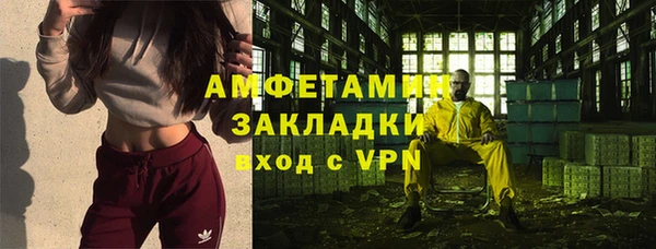 сатива Иннополис