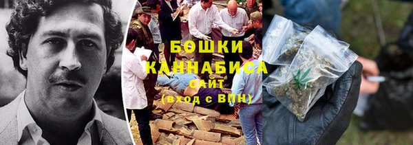 крисы Инта