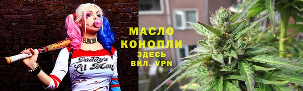 крисы Инта
