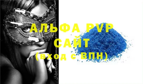 крисы Инта