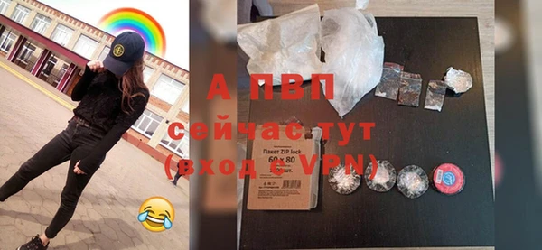 крисы Инта