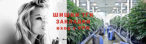сатива Иннополис