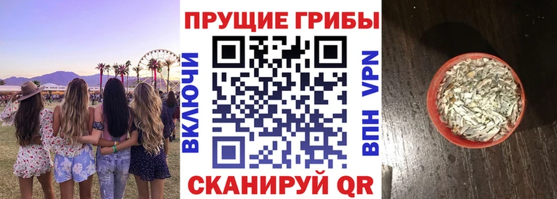 Купить закладки  Долинск  Псилоцибиновые грибы MAGIC MUSHROOMS 